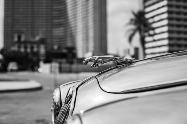 Casino Prize Land Bingo Android/iOS Forrit